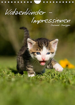 Kalender Katzenkinder - Impressionen (Wandkalender 2023 DIN A4 hoch) von Susanne Danegger