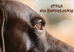 Kalender Attila, Der Hundekönig (Wandkalender 2023 DIN A2 quer) von Heike Hultsch