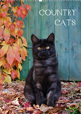 Kalender COUNTRY CATS (Wandkalender 2023 DIN A2 hoch) von Katho Menden
