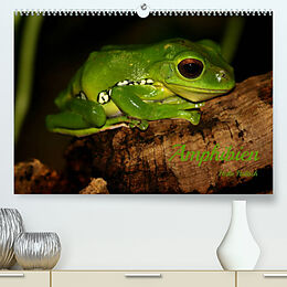 Kalender Amphibien (Premium, hochwertiger DIN A2 Wandkalender 2023, Kunstdruck in Hochglanz) von Heike Hultsch