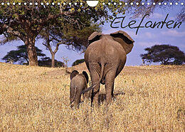 Kalender Elefanten (Wandkalender 2023 DIN A4 quer) von Michael Voß