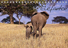 Kalender Elefanten (Tischkalender 2023 DIN A5 quer) von Michael Voß