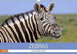 Kalender Zebras - Gestreifte Welt (Wandkalender 2023 DIN A3 quer) von Wibke Woyke