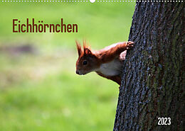 Kalender Eichhörnchen (Wandkalender 2023 DIN A2 quer) von SchnelleWelten
