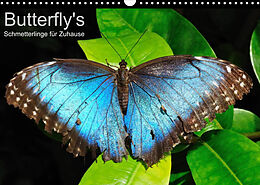 Kalender Butterfly's - Schmetterlinge für Zuhause (Wandkalender 2023 DIN A3 quer) von Uwe Bade