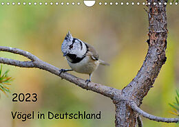 Kalender Vögel in Deutschland (Wandkalender 2023 DIN A4 quer) von Karin Jähne