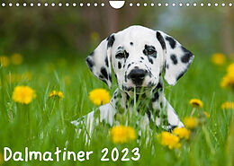 Kalender Dalmatiner 2023 (Wandkalender 2023 DIN A4 quer) von Judith Dzierzawa