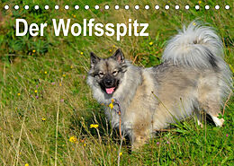 Kalender Der Wolfsspitz (Tischkalender 2023 DIN A5 quer) von S. Werner-Ney
