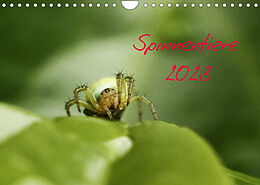 Kalender Spinnentiere 2023 (Wandkalender 2023 DIN A4 quer) von Hernegger Arnold