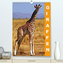 Kalender Giraffen - Afrikas Größen (Premium, hochwertiger DIN A2 Wandkalender 2023, Kunstdruck in Hochglanz) von Wibke Woyke
