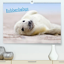 Kalender Robbenbabys (Premium, hochwertiger DIN A2 Wandkalender 2023, Kunstdruck in Hochglanz) von Jenny Sturm