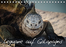 Kalender Leguane auf Galapagos (Tischkalender 2023 DIN A5 quer) von Ralph Binder