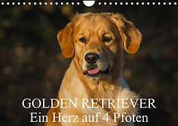 Kalender Golden Retriever - Ein Herz auf 4 Pfoten (Wandkalender 2023 DIN A4 quer) von Sigrid Starick