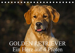 Kalender Golden Retriever - Ein Herz auf 4 Pfoten (Tischkalender 2023 DIN A5 quer) von Sigrid Starick