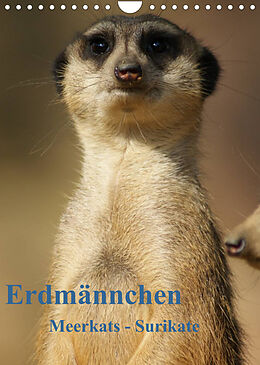 Kalender Erdmännchen-Meerkats-Surikate CH Version (Wandkalender 2023 DIN A4 hoch) von Peter Hebgen