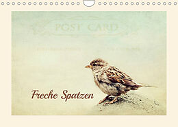 Kalender Freche Spatzen (Wandkalender 2023 DIN A4 quer) von Heike Hultsch