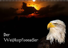 Kalender Der Weißkopfseeadler (Wandkalender 2023 DIN A3 quer) von Arno Klatt