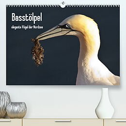 Kalender Basstölpel (Premium, hochwertiger DIN A2 Wandkalender 2023, Kunstdruck in Hochglanz) von Leon Uppena