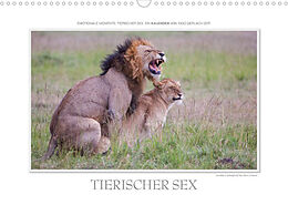 Kalender Emotionale Momente: Tierischer Sex. (Wandkalender 2023 DIN A3 quer) von Ingo Gerlach GDT
