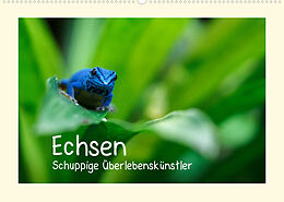 Kalender Echsen - Schuppige Überlebenskünstler (Wandkalender 2023 DIN A2 quer) von Andreas Rinke