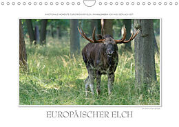 Kalender Emotionale Momente: Europäischer Elch. (Wandkalender 2023 DIN A4 quer) von Ingo Gerlach GDT