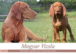 Kalender Magyar Vizsla - Vielseitiger Jagdhund mit Familienanschluss (Wandkalender 2023 DIN A3 quer) von Barbara Mielewczyk