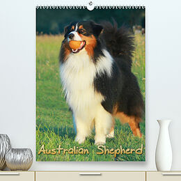 Kalender Australian Shepherd (Premium, hochwertiger DIN A2 Wandkalender 2023, Kunstdruck in Hochglanz) von Barbara Mielewczyk