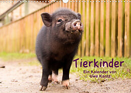 Kalender Tierkinder (Wandkalender 2023 DIN A3 quer) von Uwe Kantz