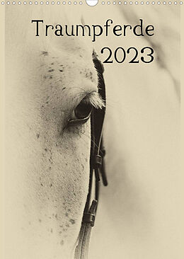 Kalender Traumpferde 2023 (Wandkalender 2023 DIN A3 hoch) von vdp-fotokunst.de