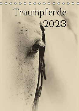 Kalender Traumpferde 2023 (Tischkalender 2023 DIN A5 hoch) von vdp-fotokunst.de