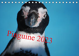 Kalender Pinguine 2023 (Tischkalender 2023 DIN A5 quer) von Ilka Groos