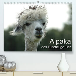 Kalender Alpaka, das kuschelige Tier (Premium, hochwertiger DIN A2 Wandkalender 2023, Kunstdruck in Hochglanz) von Peter Brömstrup