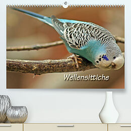 Kalender Wellensittiche (Premium, hochwertiger DIN A2 Wandkalender 2023, Kunstdruck in Hochglanz) von Barbara Mielewczyk