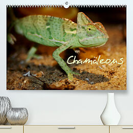 Kalender Chamäleons (Premium, hochwertiger DIN A2 Wandkalender 2023, Kunstdruck in Hochglanz) von Chawera