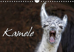 Kalender Kamele (Wandkalender 2023 DIN A4 quer) von Martina Berg