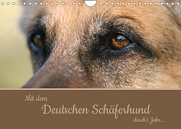 Kalender Mit dem Deutschen Schäferhund durch's Jahr (Wandkalender 2023 DIN A4 quer) von Claudia Steininger