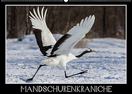 Kalender Mandschurenkraniche (Wandkalender 2023 DIN A2 quer) von Thomas Schwarz Fotografie