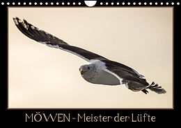 Kalender Möwen - Meister der Lüfte (Wandkalender 2023 DIN A4 quer) von Thomas Schwarz Fotografie