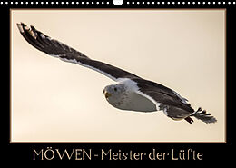 Kalender Möwen - Meister der Lüfte (Wandkalender 2023 DIN A3 quer) von Thomas Schwarz Fotografie