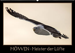 Kalender Möwen - Meister der Lüfte (Wandkalender 2023 DIN A2 quer) von Thomas Schwarz Fotografie