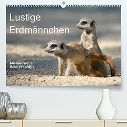 Kalender Lustige Erdmännchen (Premium, hochwertiger DIN A2 Wandkalender 2023, Kunstdruck in Hochglanz) von Michael Weber