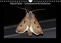 Kalender Nachtfalter - Unbekannte Schönheiten (Wandkalender 2023 DIN A4 quer) von Renate Wagner