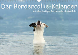Kalender Der Bordercollie-Kalender (Wandkalender 2023 DIN A3 quer) von Kathrin Köntopp