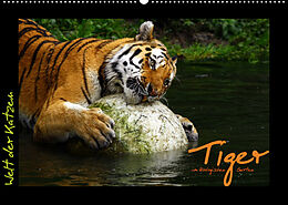 Kalender Welt der Katzen - Tiger (Wandkalender 2023 DIN A2 quer) von Marcus Skupin