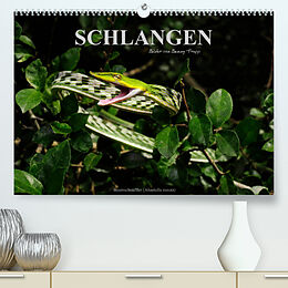Kalender Schlangen (Premium, hochwertiger DIN A2 Wandkalender 2023, Kunstdruck in Hochglanz) von Benny Trapp