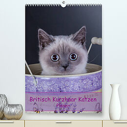 Kalender Britisch Kurzhaar Katzen - Planer (Premium, hochwertiger DIN A2 Wandkalender 2023, Kunstdruck in Hochglanz) von Gabriela Wejat-Zaretzke