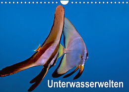 Kalender Unterwasserwelten (Wandkalender 2023 DIN A4 quer) von Dieter Gödecker