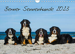 Kalender Berner Sennenhund 2023 (Wandkalender 2023 DIN A4 quer) von Sigrid Starick