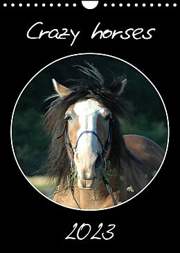 Kalender Crazy horses (Wandkalender 2023 DIN A4 hoch) von Claudia Lampert