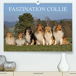 Kalender Faszination Collie 2023 (Premium, hochwertiger DIN A2 Wandkalender 2023, Kunstdruck in Hochglanz) von Sigrid Starick